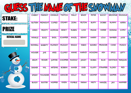 Guess the Name of Snowman Fundraising Game Christmas Fete Fayre A4
