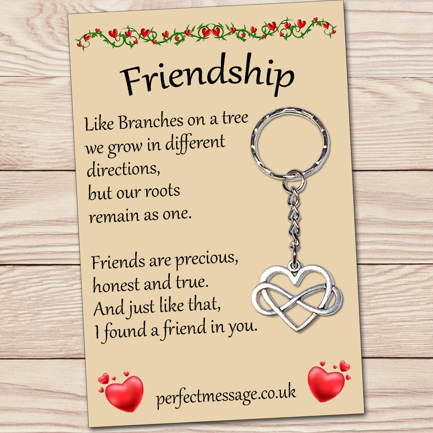 Gift for Friends Friendship Inspirational Keyring