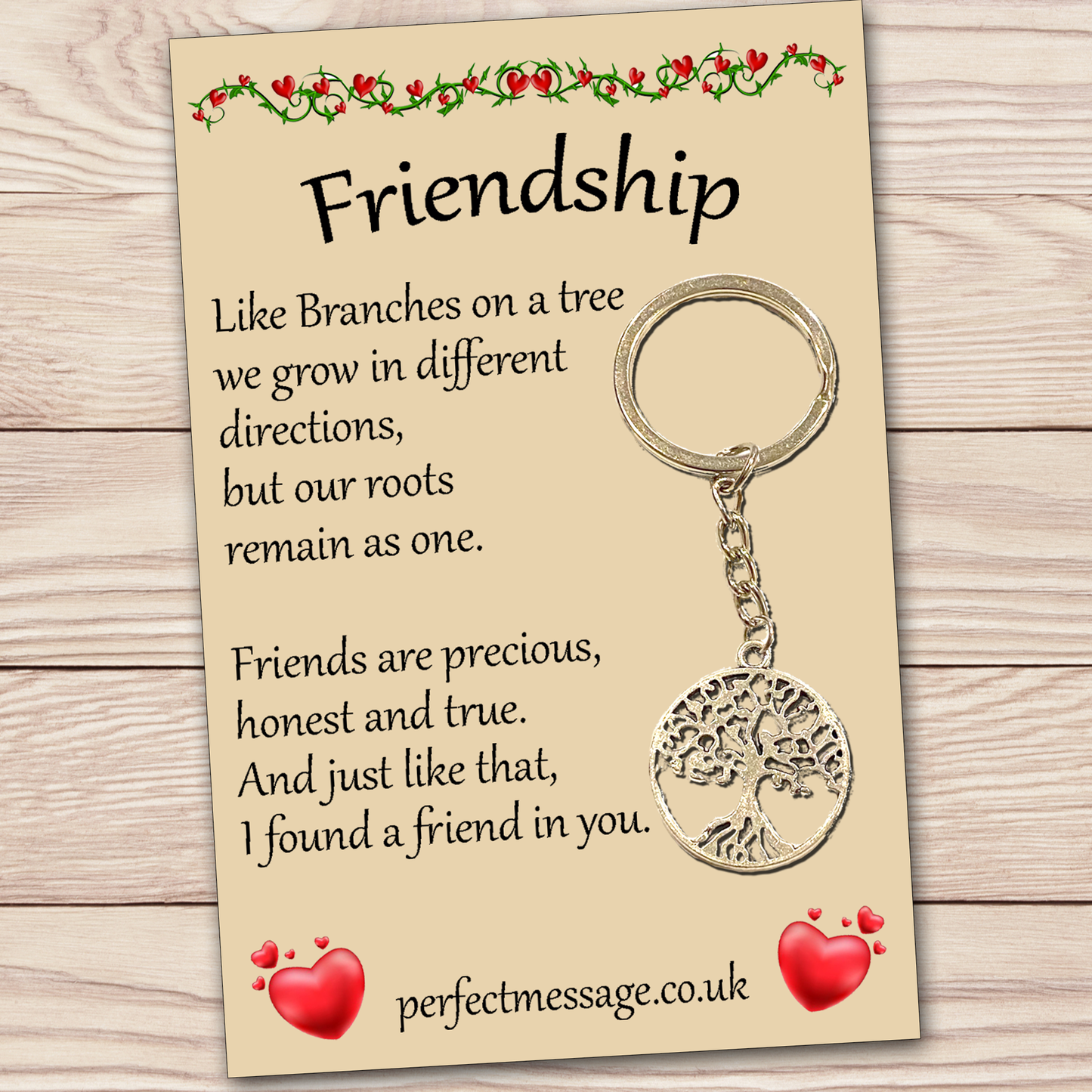 Gift for Friends Friendship Inspirational Keyring