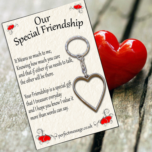 Our Special Friendship Inspirational Gift