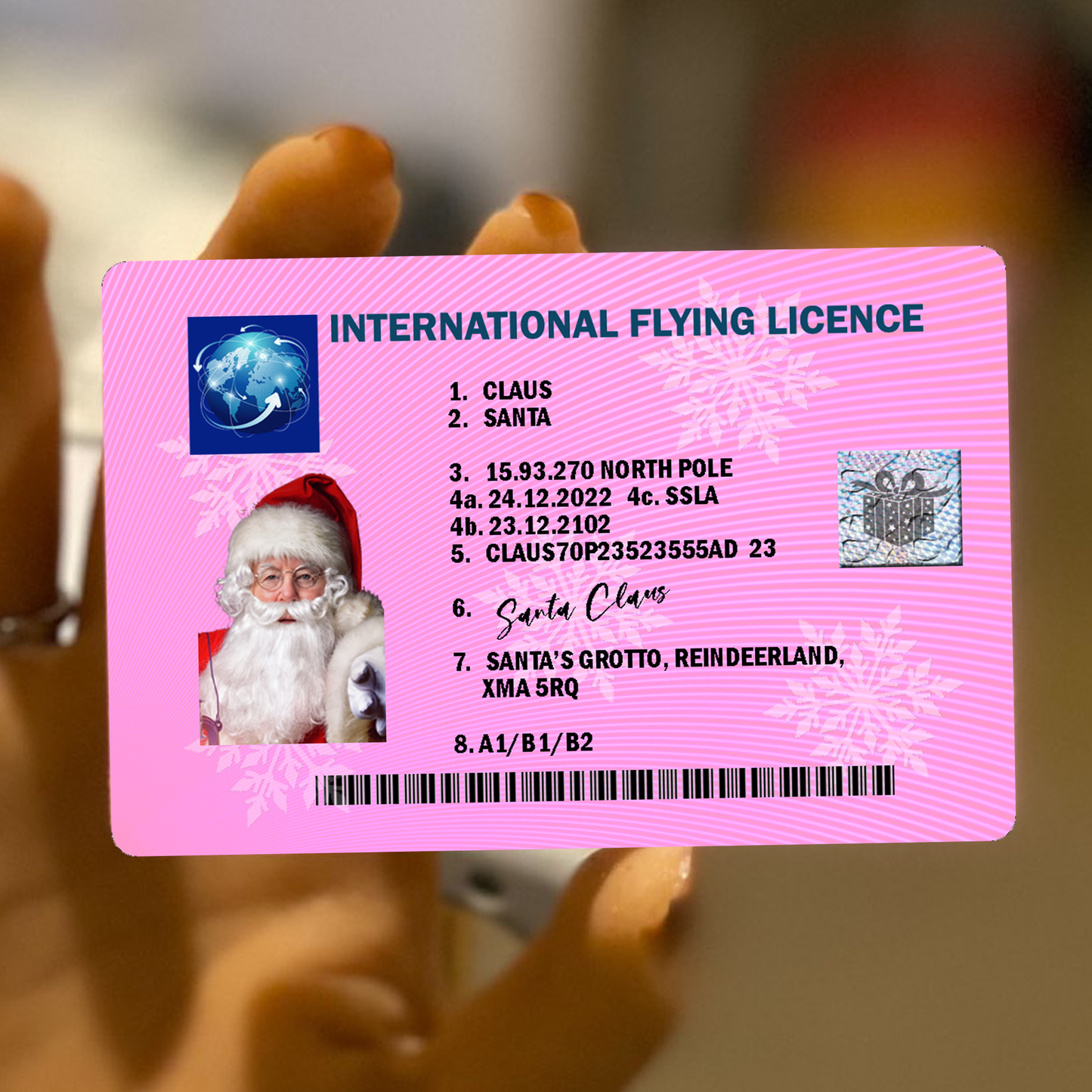 Santa Claus Lost Sleigh Flying Licence