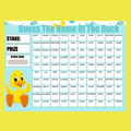 Fundraising Scratch Card Guess The Name Of The Duck Fayre Party A4