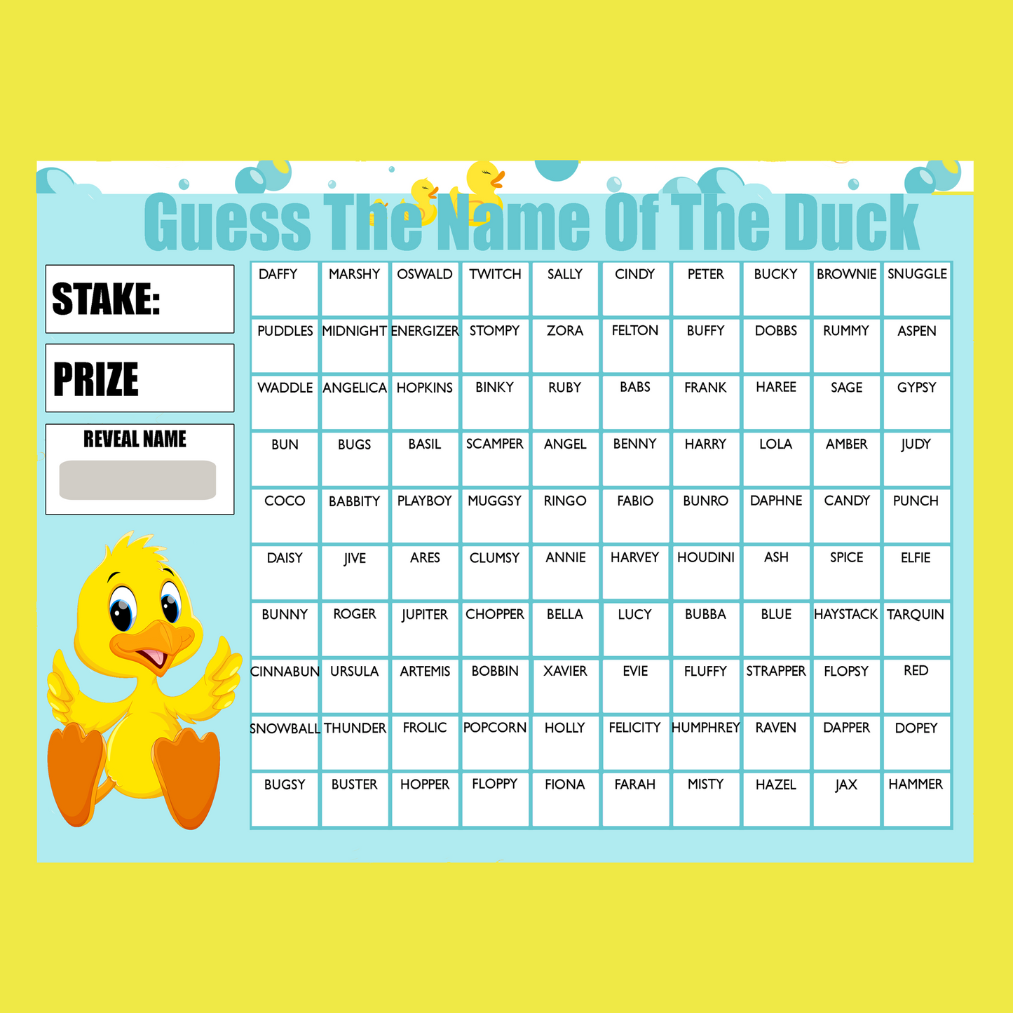 Fundraising Scratch Card Guess The Name Of The Duck Fayre Party A4