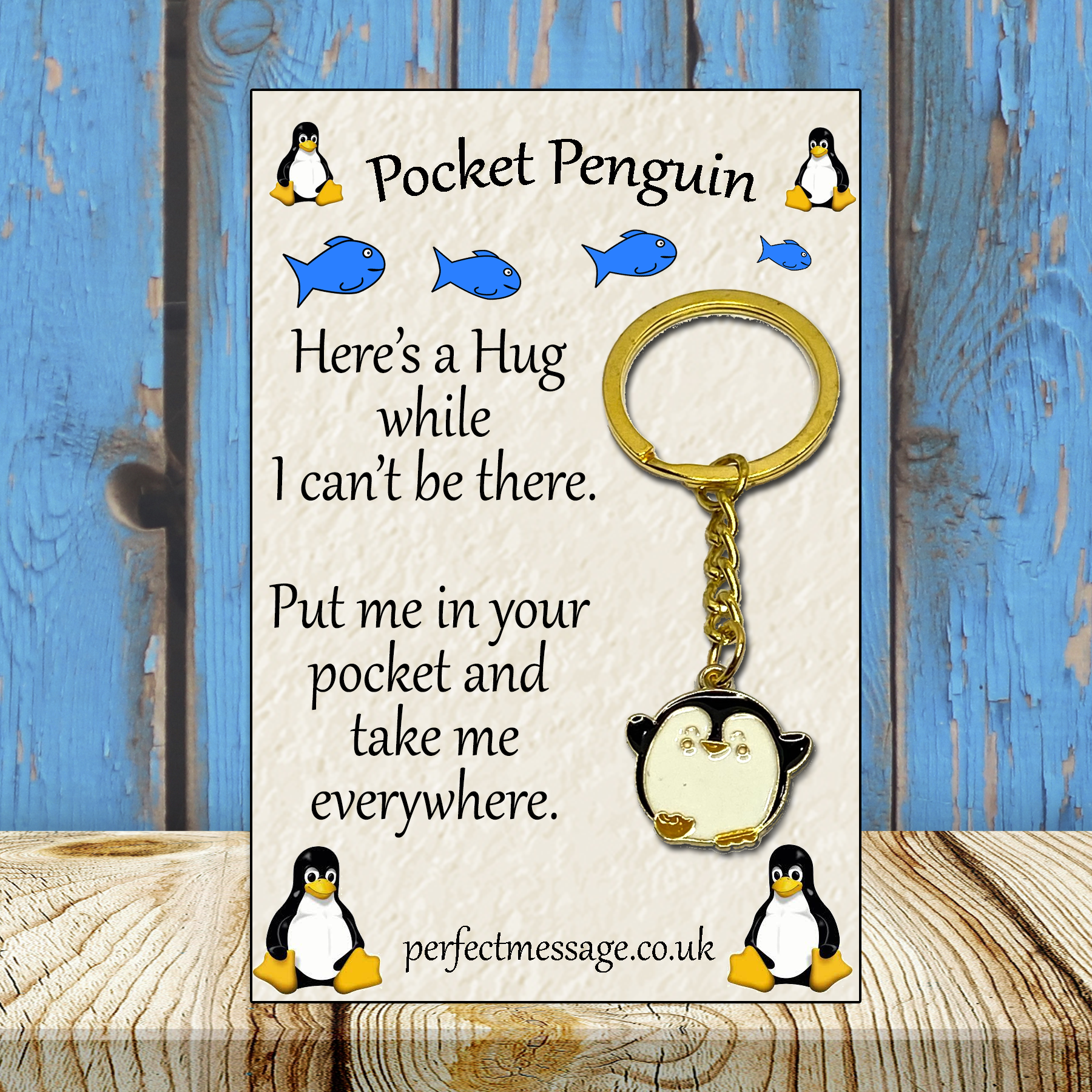 Pocket Penguin Inspirational Gift