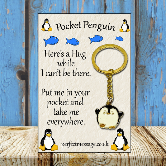 Pocket Penguin Inspirational Gift